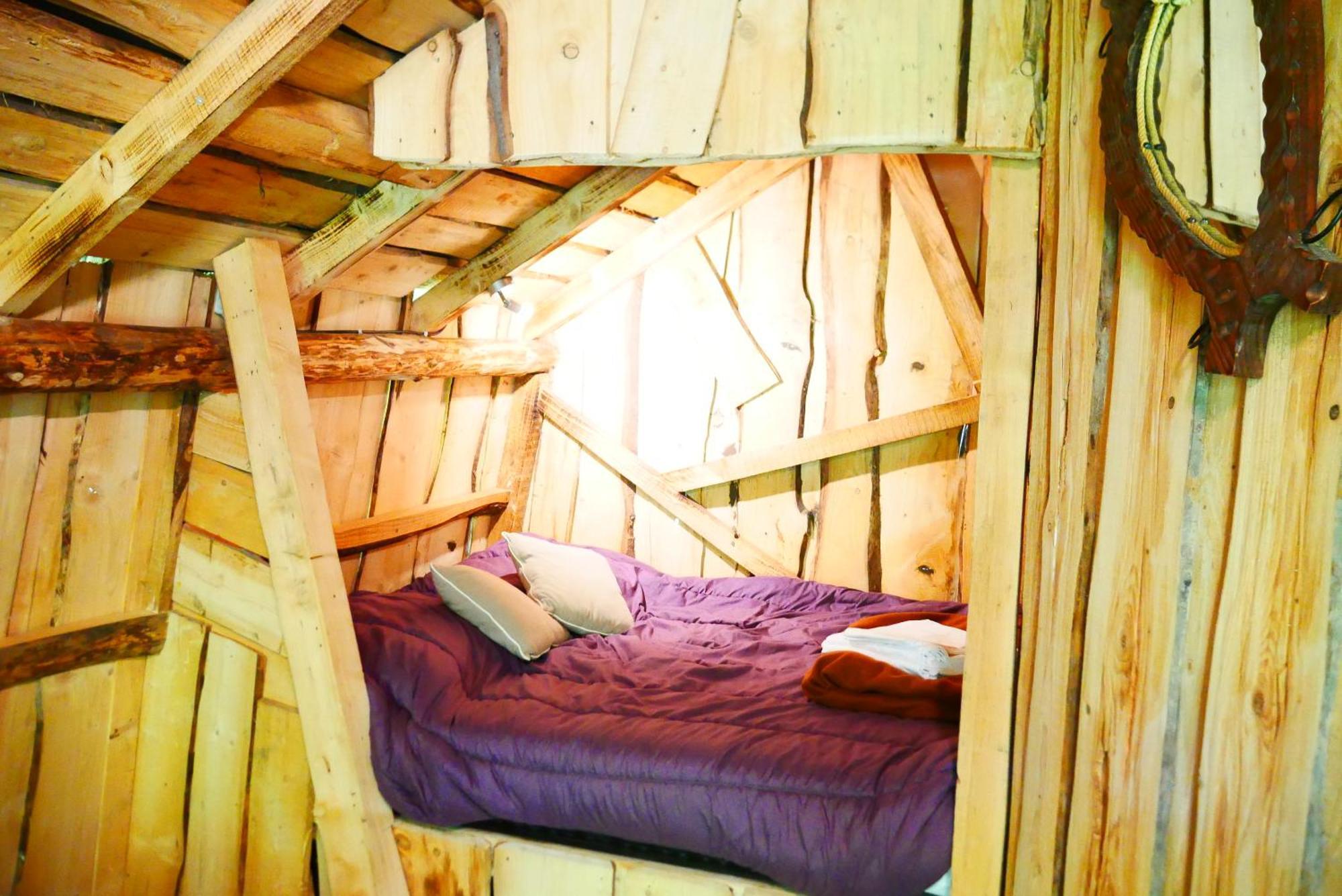 Camping Alsace Les Castors Burnhaupt-le-Haut エクステリア 写真