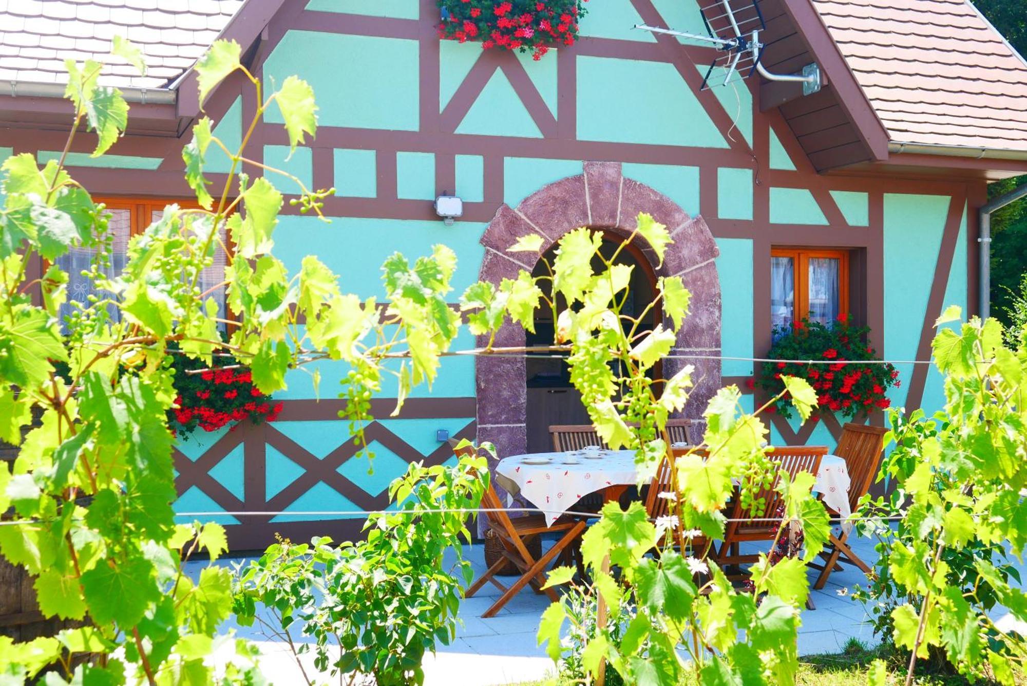 Camping Alsace Les Castors Burnhaupt-le-Haut エクステリア 写真